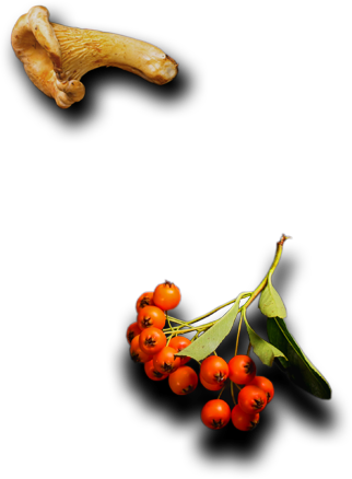Foodcorridor Catering Services